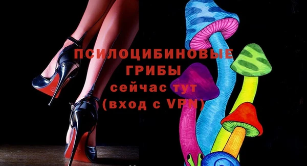МДПВ Алзамай