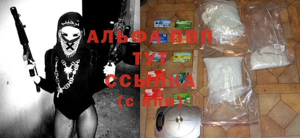 ПСИЛОЦИБИНОВЫЕ ГРИБЫ Алексеевка